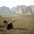 X. YangShuo, 14 et 15 Janvier