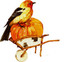 nature d'automne #1