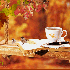 Bonjour à tous...
