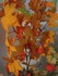 hello Automne..en retard