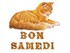 voici mon chat hémi....