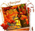 C'est L'automne...youpi