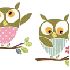 Les hiboux/ chouettes