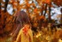 Bonjour et bienvenue au fil de l'Automne