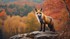 Le renard et l'automne