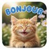 citations