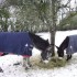 Orage, neige... quand les él