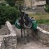 J-1 ! Dernières nouvelles avant le dépar