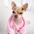 Chihuahua peignoir