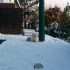 Découverte de la neige...