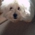 Première matinée avec mon copain!