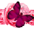 separateur
