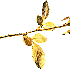 separateur
