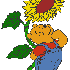mes gifs animés winnie