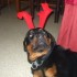 mes photo de noel