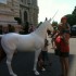 un petit tour à Monaco...suit