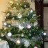 Mon beau sapin...