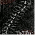 the human centipede 2 ________    9.5/20
