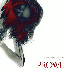 PROWL  9/20