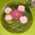 Anniversaire de Kathleen (7 an