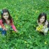 mercredi fleuris