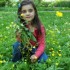 mercredi fleuris