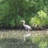 Mercredi nature