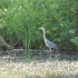 Mercredi nature