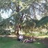 Jardin d'acclimatation (Paris)