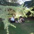 Jardin d'acclimatation (Paris)
