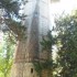 Jardin d'acclimatation (Paris)