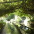 Jardin d'acclimatation (Paris)