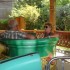 Walibi/Aqualibi (Belgique)