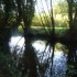 Balade à Preignac ( photos )