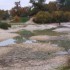 Balade à Léognan ( photos )