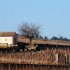 Beaune