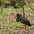 Parc de Sainte Croix 57810 RHO