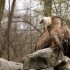 Parc de Sainte Croix 57810 RHO