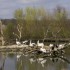 Parc de Sainte Croix 57810 RHO
