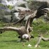 Parc de Sainte Croix 57810 RHO
