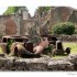 Oradour sur Glane ... se souve
