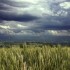 Après l'orage