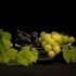 Raisin noir, raisin blanc