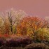 Couleurs d'automne