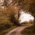 Couleurs d'automne