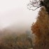 Couleurs d'automne