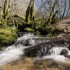 En Morvan ...