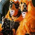 carnaval de venise  ,,,,,,,,,,