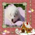 bonjour a tous et bienvenue da