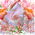un ptit bonjour a tous et tout
